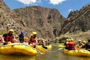 Plan Your Canon City River Rafting Adventure Today! | Your Ultimate Guide to Rafting Adventures, Gear & River Trips