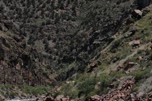 Best Bighorn Rafting Colorado: Adventure & Thrills! | Your Ultimate Guide to Rafting Adventures, Gear & River Trips
