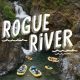 Your Ultimate OARS Rogue River Rafting Adventure Awaits! | Your Ultimate Guide to Rafting Adventures, Gear & River Trips