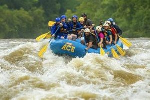 Discover New River Rafting Adventures + Tips | Your Ultimate Guide to Rafting Adventures, Gear & River Trips