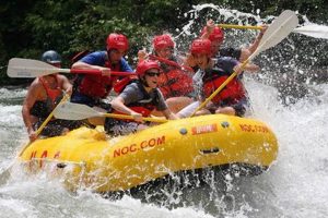 Ocoee River Rafting: Top Ocoee White Water Rafting Companies Guide | Your Ultimate Guide to Rafting Adventures, Gear & River Trips