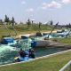 Thrilling OKC White Water Rafting Adventures Await! | Your Ultimate Guide to Rafting Adventures, Gear & River Trips