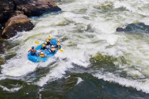 Tragic New River Gorge White Water Rafting Deaths: Safety Now | Your Ultimate Guide to Rafting Adventures, Gear & River Trips