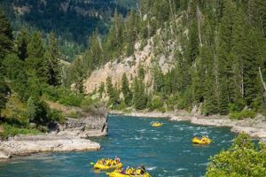 Experience Mad River Whitewater Rafting Thrills & Fun! | Your Ultimate Guide to Rafting Adventures, Gear & River Trips