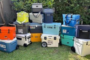 Top-Rated Best Coolers for Rafting: Buyer's Guide | Your Ultimate Guide to Rafting Adventures, Gear & River Trips
