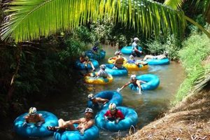 Kauai River Rafting Adventures: Explore Paradise | Your Ultimate Guide to Rafting Adventures, Gear & River Trips