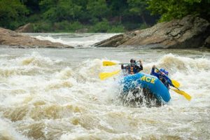 Thrilling New River Gorge National Park Rafting Trips! | Your Ultimate Guide to Rafting Adventures, Gear & River Trips