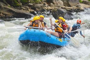 Plan Your Trip: Whitewater Rafting Ohiopyle Adventures | Your Ultimate Guide to Rafting Adventures, Gear & River Trips