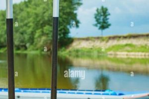 The Best White Water Rafting Paddles: Gear Guide & Tips | Your Ultimate Guide to Rafting Adventures, Gear & River Trips