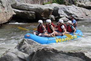 Nolichucky River Whitewater Rafting: Your Thrilling Adventure! | Your Ultimate Guide to Rafting Adventures, Gear & River Trips