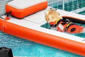 Dog Water Rafts: Safe & Fun Paddling Gear! | Your Ultimate Guide to Rafting Adventures, Gear & River Trips