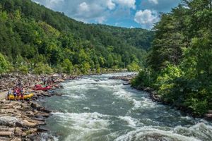 Plan Your Ocoee River Rafting Adventure Today! | Your Ultimate Guide to Rafting Adventures, Gear & River Trips