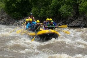 Thrilling: Whitewater Rafting Grand Junction Adventure Awaits! | Your Ultimate Guide to Rafting Adventures, Gear & River Trips