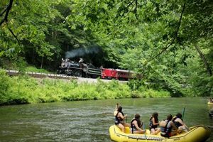 Guide to Bryson City River Rafting: Trips & Info | Your Ultimate Guide to Rafting Adventures, Gear & River Trips