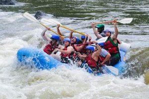 Thrilling White Water Rafting French Broad River Adventures! | Your Ultimate Guide to Rafting Adventures, Gear & River Trips