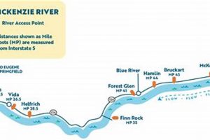 Plan Your McKenzie River Rafting Trip: Tours & Safety | Your Ultimate Guide to Rafting Adventures, Gear & River Trips