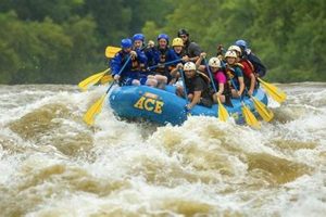Epic New River White Water Rafting Adventures! | Your Ultimate Guide to Rafting Adventures, Gear & River Trips
