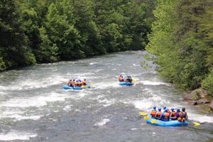 Thrilling Whitewater Rafting in Blue Ridge GA: Your Adventure Awaits! | Your Ultimate Guide to Rafting Adventures, Gear & River Trips