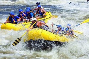 Experience Chattahoochee River Whitewater Rafting Near You! | Your Ultimate Guide to Rafting Adventures, Gear & River Trips
