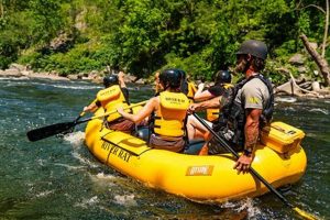 Read River Rat Rafting Reviews: Find the Best River Trip! | Your Ultimate Guide to Rafting Adventures, Gear & River Trips
