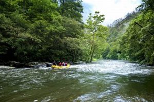 NC's Best Rafting: Whitewater Adventures! | Your Ultimate Guide to Rafting Adventures, Gear & River Trips