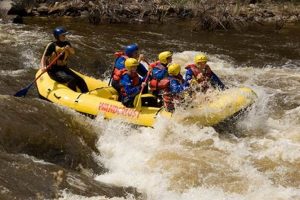 Explore Poudre River Rafting: Thrills Await! | Your Ultimate Guide to Rafting Adventures, Gear & River Trips