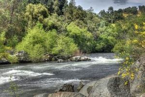 Plan Your Stanislaus River Rafting Adventure! | Your Ultimate Guide to Rafting Adventures, Gear & River Trips