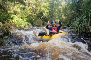 Your Blackwater River Rafting Adventure Awaits! | Your Ultimate Guide to Rafting Adventures, Gear & River Trips