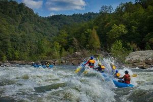 Thrilling Lower Gauley White Water Rafting Adventures! | Your Ultimate Guide to Rafting Adventures, Gear & River Trips