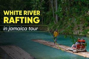 Experience the Best White River Rafting Jamaica Adventure! | Your Ultimate Guide to Rafting Adventures, Gear & River Trips