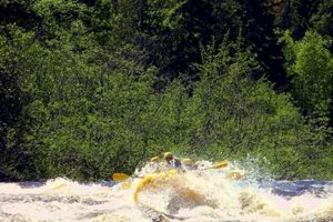 Experience Thrills: Dead River White Water Rafting Adventure | Your Ultimate Guide to Rafting Adventures, Gear & River Trips