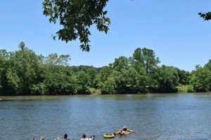 Explore James River Reeling &amp; Rafting: Angler's Adventure! | Your Ultimate Guide to Rafting Adventures, Gear & River Trips