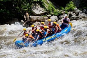 Thrilling WV Whitewater Rafting: Adventure Awaits! | Your Ultimate Guide to Rafting Adventures, Gear & River Trips