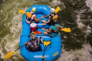 Become an Ace Whitewater Rafter: Skills & Safety Tips | Your Ultimate Guide to Rafting Adventures, Gear & River Trips