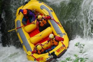 Experience Premier Chattooga River Rafting Adventures! | Your Ultimate Guide to Rafting Adventures, Gear & River Trips