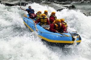 Experience Queenstown Shotover River White Water Rafting! | Your Ultimate Guide to Rafting Adventures, Gear & River Trips