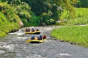 Telaga Waja River Rafting Bali: Reviews & Tips (2024) | Your Ultimate Guide to Rafting Adventures, Gear & River Trips