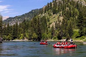 Book Your Jackson Hole Whitewater Rafting Trips Today! | Your Ultimate Guide to Rafting Adventures, Gear & River Trips
