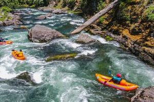 Ultimate Umpqua River Rafting: Trips &amp; Guide | Your Ultimate Guide to Rafting Adventures, Gear & River Trips