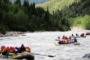 Experience Rafting the Nenana River, Alaska: Adventure Awaits! | Your Ultimate Guide to Rafting Adventures, Gear & River Trips