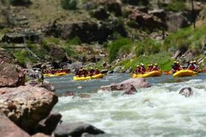 Experience Canon City Whitewater Rafting Adventures | Your Ultimate Guide to Rafting Adventures, Gear & River Trips