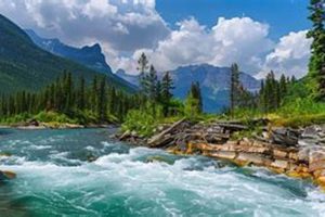 Unforgettable White Water Rafting Near Whitefish, MT! | Your Ultimate Guide to Rafting Adventures, Gear & River Trips