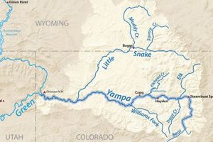 Guide to Yampa River Rafting Colorado: Trips & Info | Your Ultimate Guide to Rafting Adventures, Gear & River Trips
