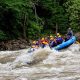 West Virginia White Water Rafting: Your Thrilling WV Adventure | Your Ultimate Guide to Rafting Adventures, Gear & River Trips
