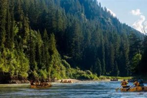Plan Your Mad River Rafting Adventure | Jackson, WY Trip Your Ultimate Guide to Rafting Adventures, Gear & River Trips Plan Your Mad River Rafting Adventure | Jackson, WY Trip | Your Ultimate Guide to Rafting Adventures, Gear & River Trips