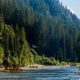 Plan Your Mad River Rafting Adventure | Jackson, WY Trip | Your Ultimate Guide to Rafting Adventures, Gear & River Trips