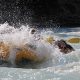 Thrilling Jasper White Water Rafting Adventures! | Your Ultimate Guide to Rafting Adventures, Gear & River Trips