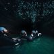 Explore Black Water Rafting in Waitomo Caves! | Your Ultimate Guide to Rafting Adventures, Gear & River Trips