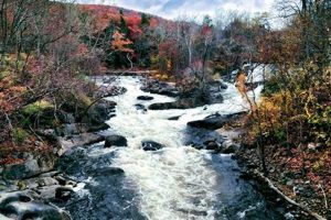 Explore: Rafting Housatonic River CT Adventures Today! Your Ultimate Guide to Rafting Adventures, Gear & River Trips Explore: Rafting Housatonic River CT Adventures Today! | Your Ultimate Guide to Rafting Adventures, Gear & River Trips