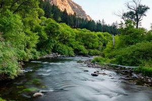 Experience River Rafting in Provo, Utah: Adventure Awaits! | Your Ultimate Guide to Rafting Adventures, Gear & River Trips